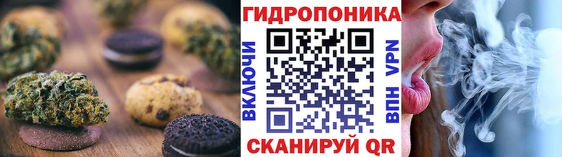 Купить закладки  Сольцы  Canna-Cookies марихуана 