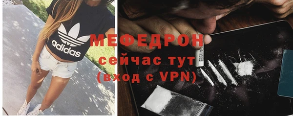 индика Ростов