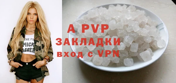 индика Ростов