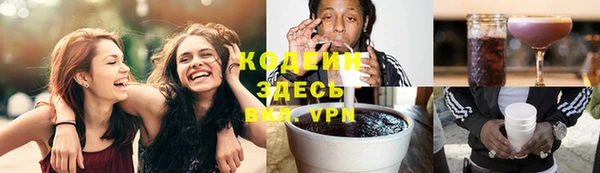 индика Ростов