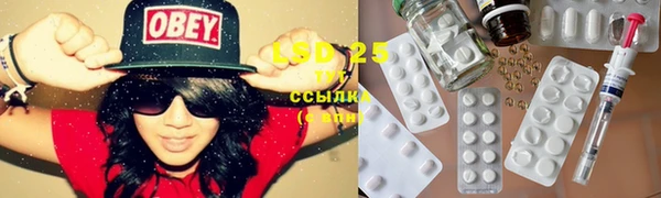индика Ростов