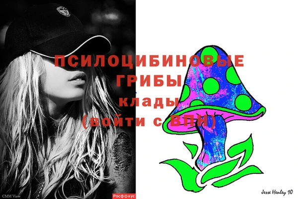 индика Ростов