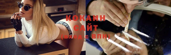 индика Ростов