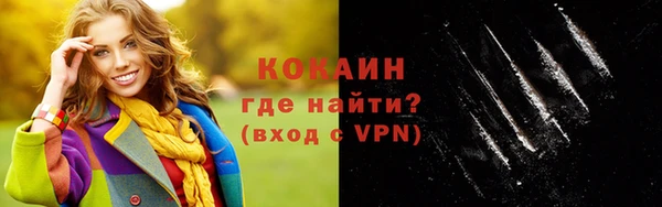 индика Ростов