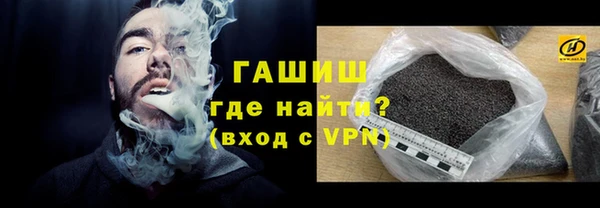 индика Ростов