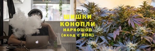 индика Ростов
