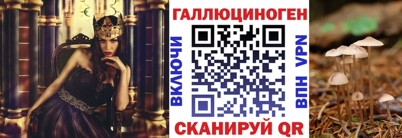 Купить где  Сольцы  Псилоцибиновые грибы GOLDEN TEACHER 